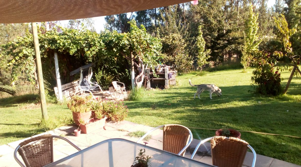 Vista Terraza