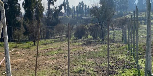 Excelente oportunidad de parcela de agrado en sector codigua, Melipilla.