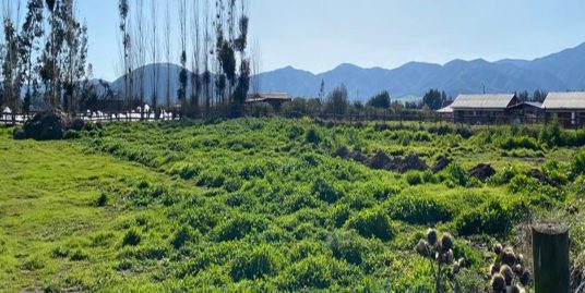 OPORTUNIDAD 5.000 M2 LAS HIGUERAS DE PUANGUE.