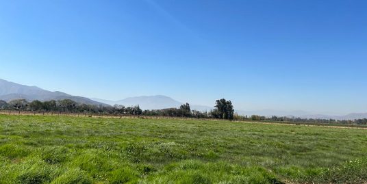 María Pinto, Sector Malalhue, Melipilla.