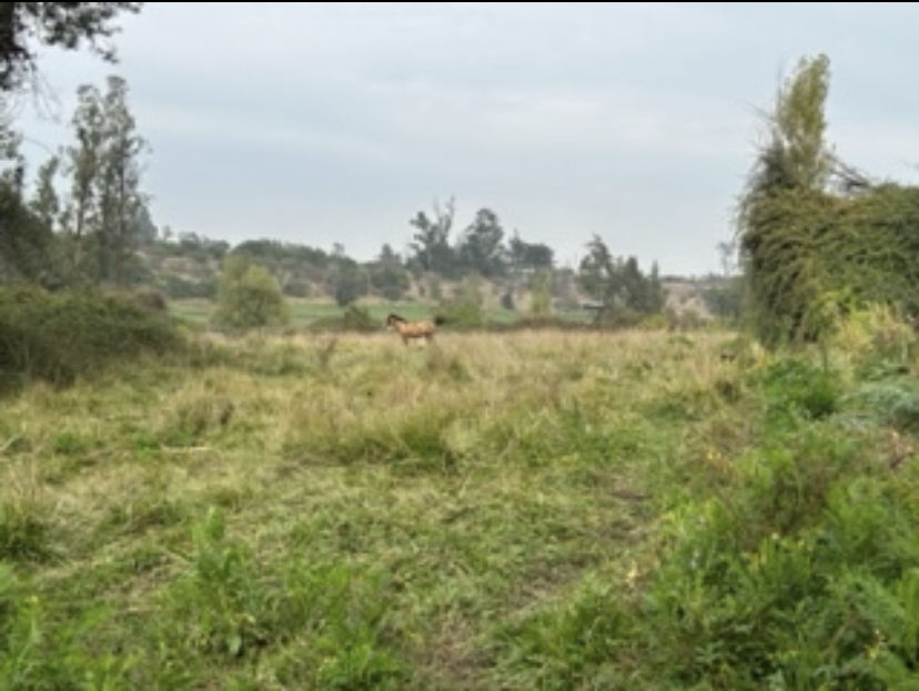 Preciosa parcela en La Montaña, Puangue, Melipilla. Privada, pocos y buenos vecinos.