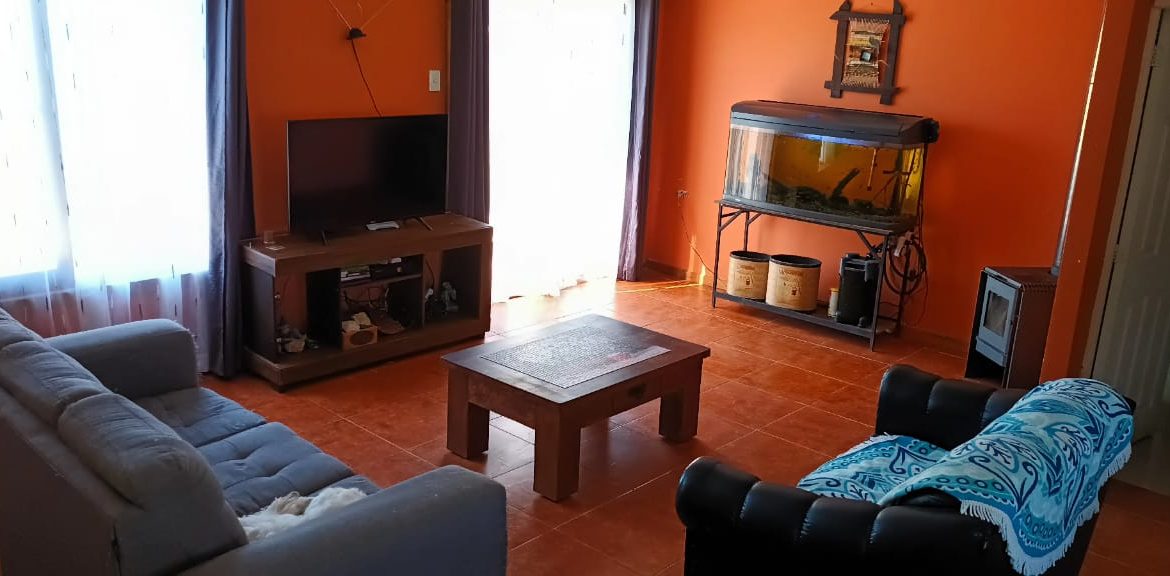IMAGEN 06