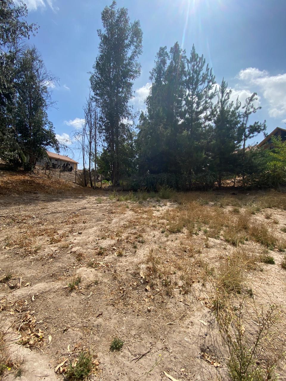 Exclusiva parcela en venta en Bosques de Santa Cecilia, Melipilla.