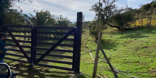 CULIPRAN, 14 HECTAREAS A UN PRECIO SOÑADO!!!!!