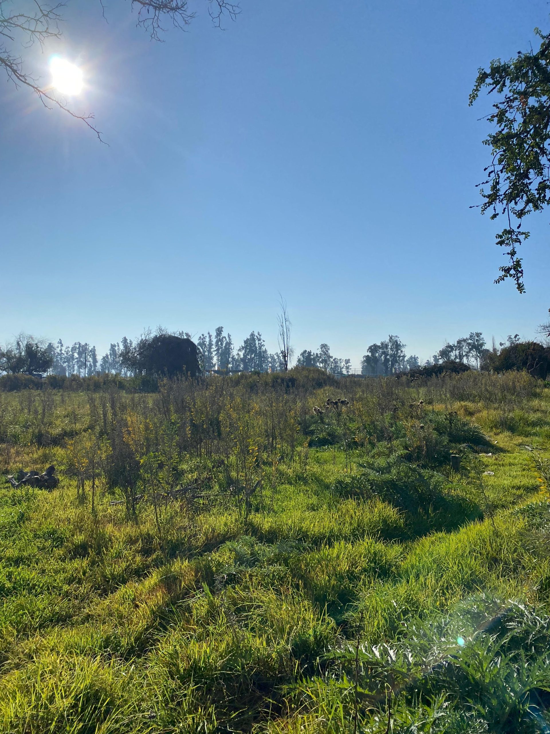 En San José a pocos metros de ruta G74, Melipilla.-