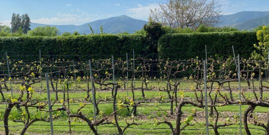 Preciosa parcela en venta. EL Transito, Melipilla.