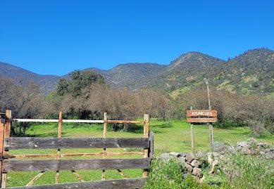 OPORTUNIDAD UNICA EN VENTA, CAMPO DE  70 Hà, SECTOR PINCHA, ALHUE.