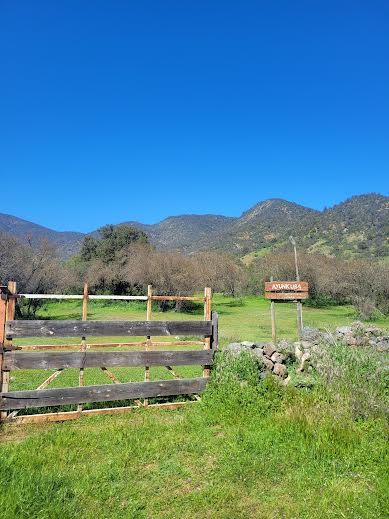 OPORTUNIDAD UNICA EN VENTA, CAMPO DE  70 Hà, SECTOR PINCHA, ALHUE.