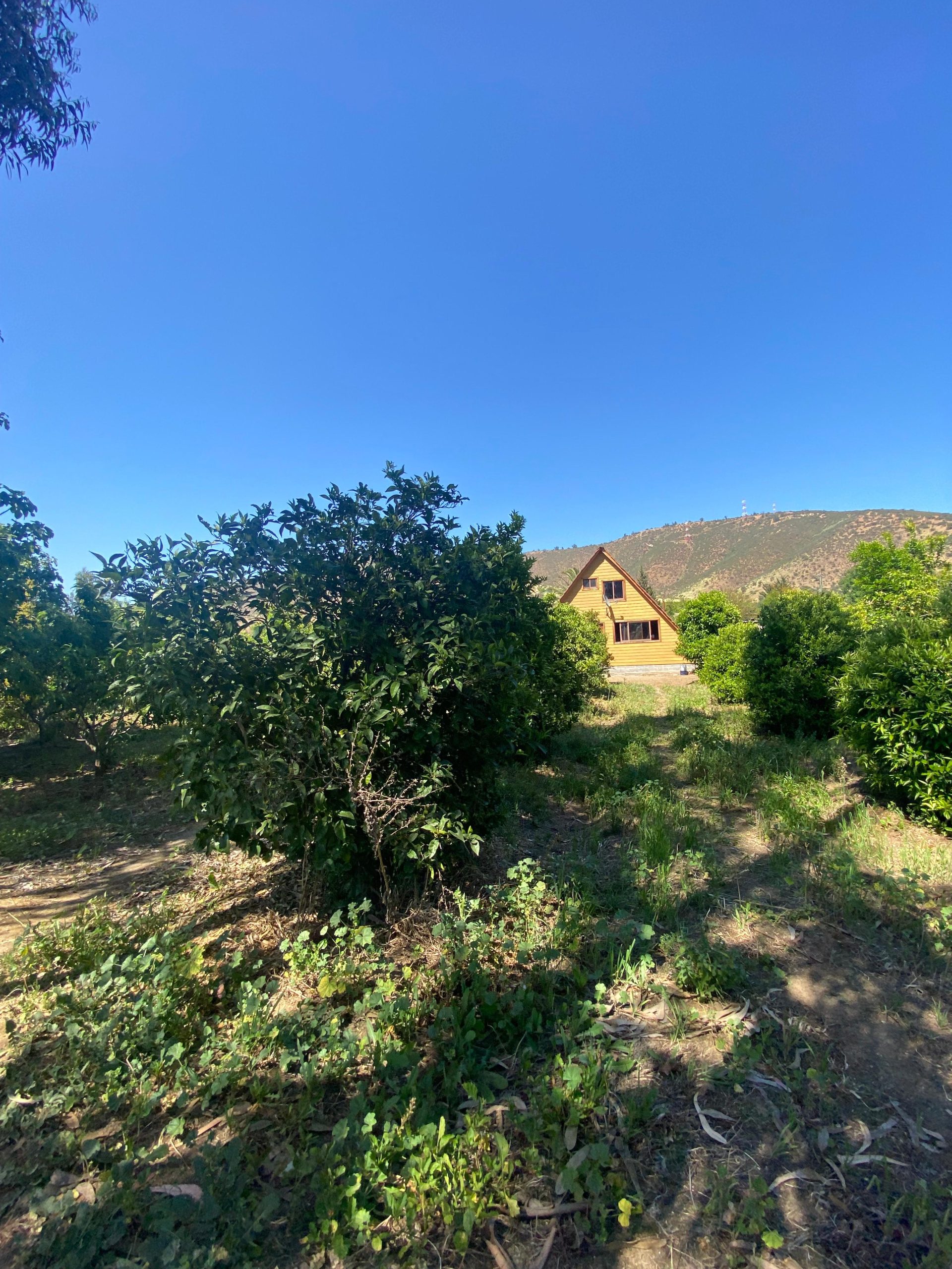 PROPIEDAD EN VENTA EN EL TRANSITO, POMAIRE