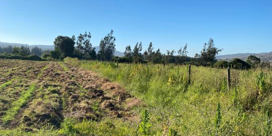 MAGNIFICA OPORTUNIDAD PARCELA DE 3 Hà EN VENTA EN PUANGUE.