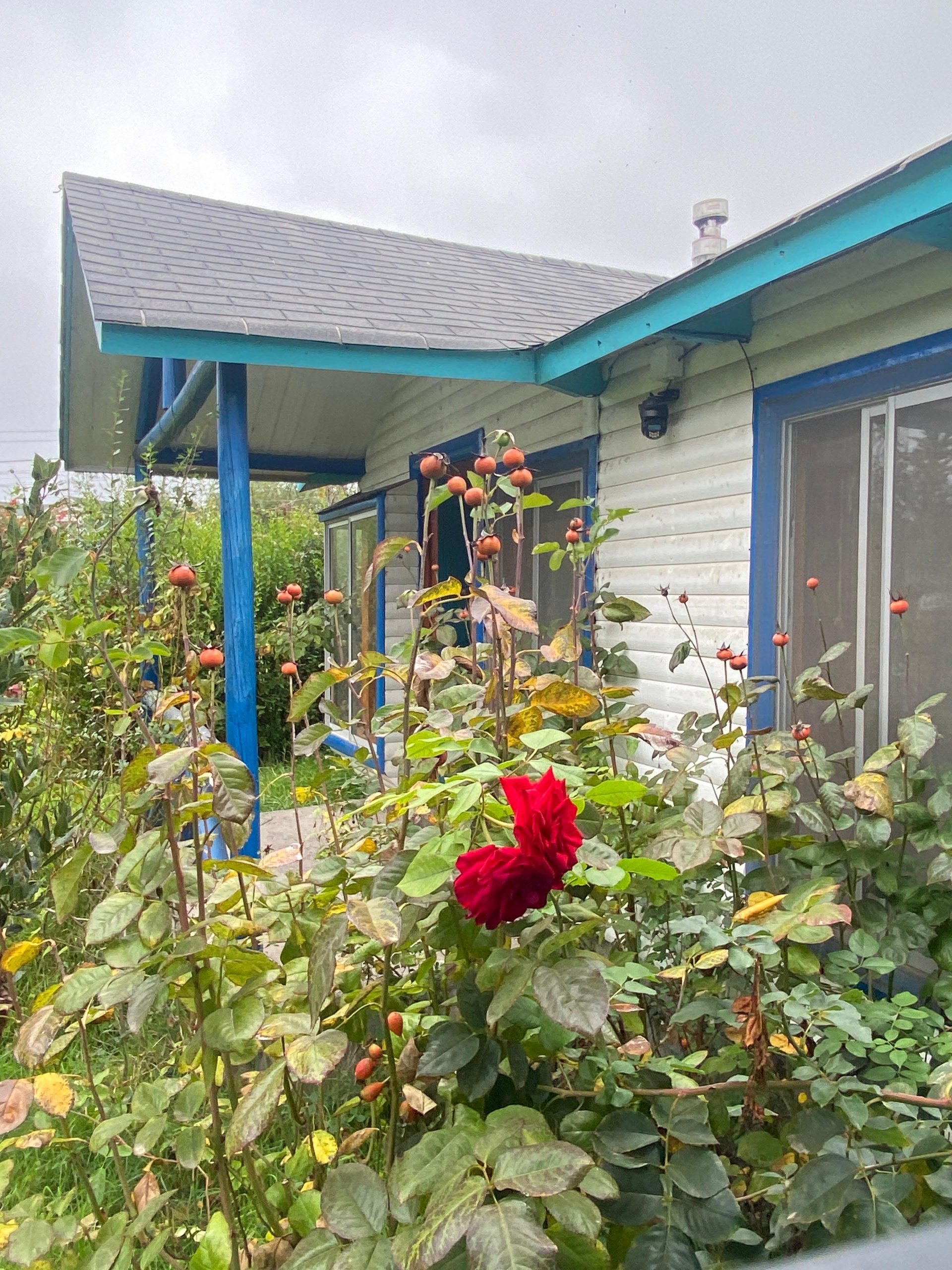 Propiedad en Arriendo en Parcelación Bosques De Santa Cecilia, Melipilla.