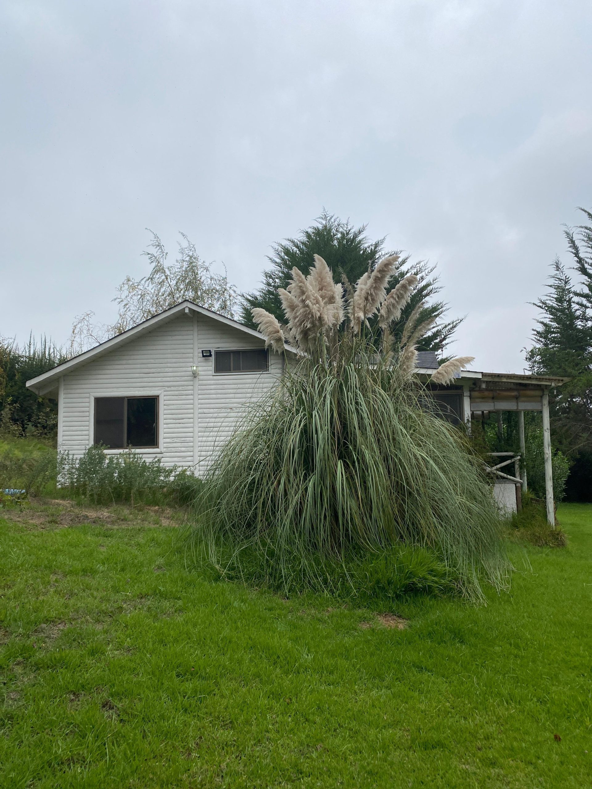 Linda propiedad en arriendo. En exclusiva Parcelación Bosques de Santa Cecilia, Melipilla.
