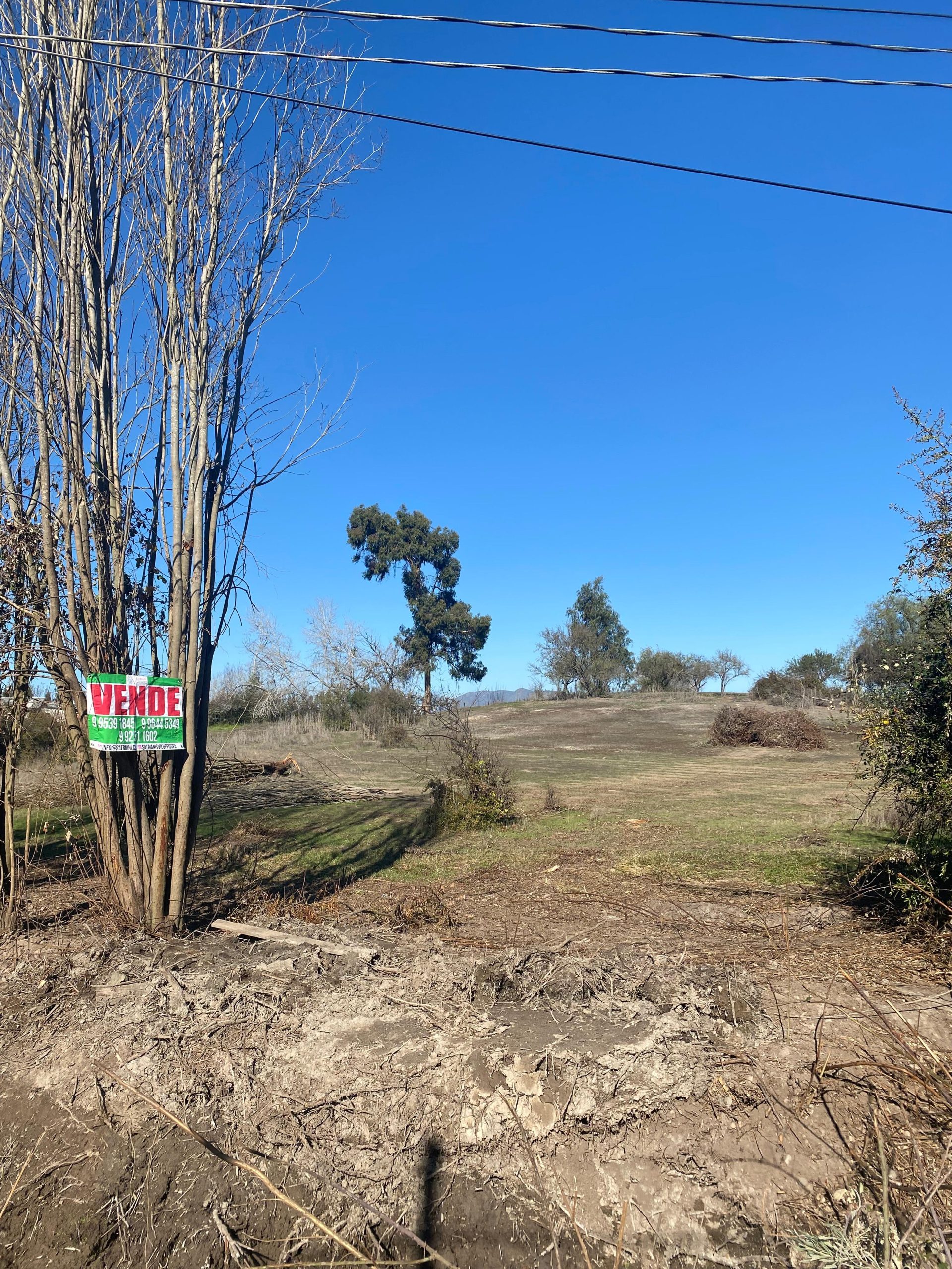 GRAN OPORTUNIDAD!!!!  VENTA DE PARCELA DE 1HA., CODIGUA MELIPILLA.