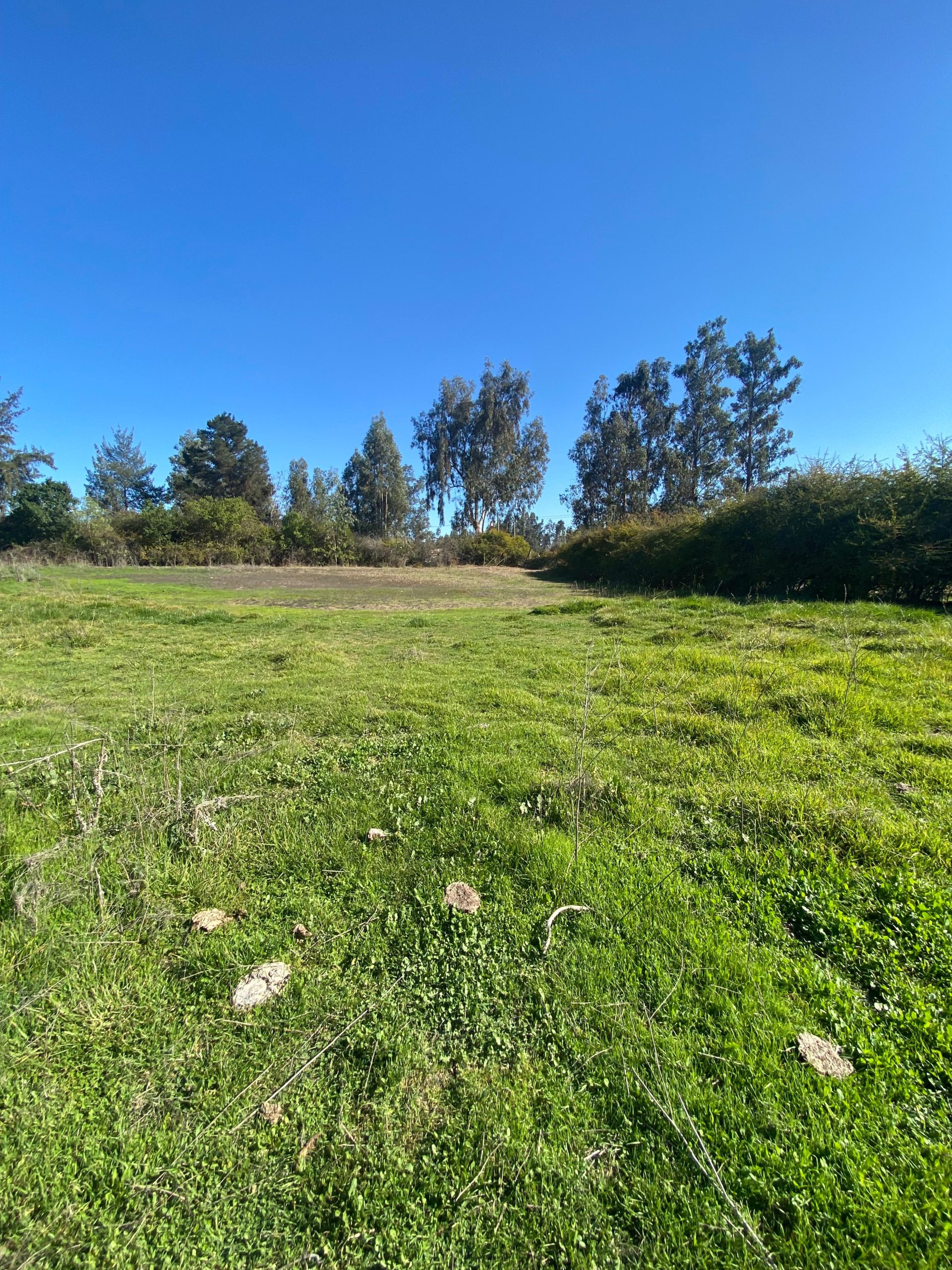 LINDAS PARCELAS EN VENTA, CODIGUA, MELIPILLA.